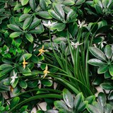 thumbnail of Wandpanelen kunsthaag groot blad - set van 4 - 50x50x4cm