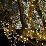 thumbnail of Lumisky Guirlande solaire BILLY 60 globes 6.9M Plastique Blanc