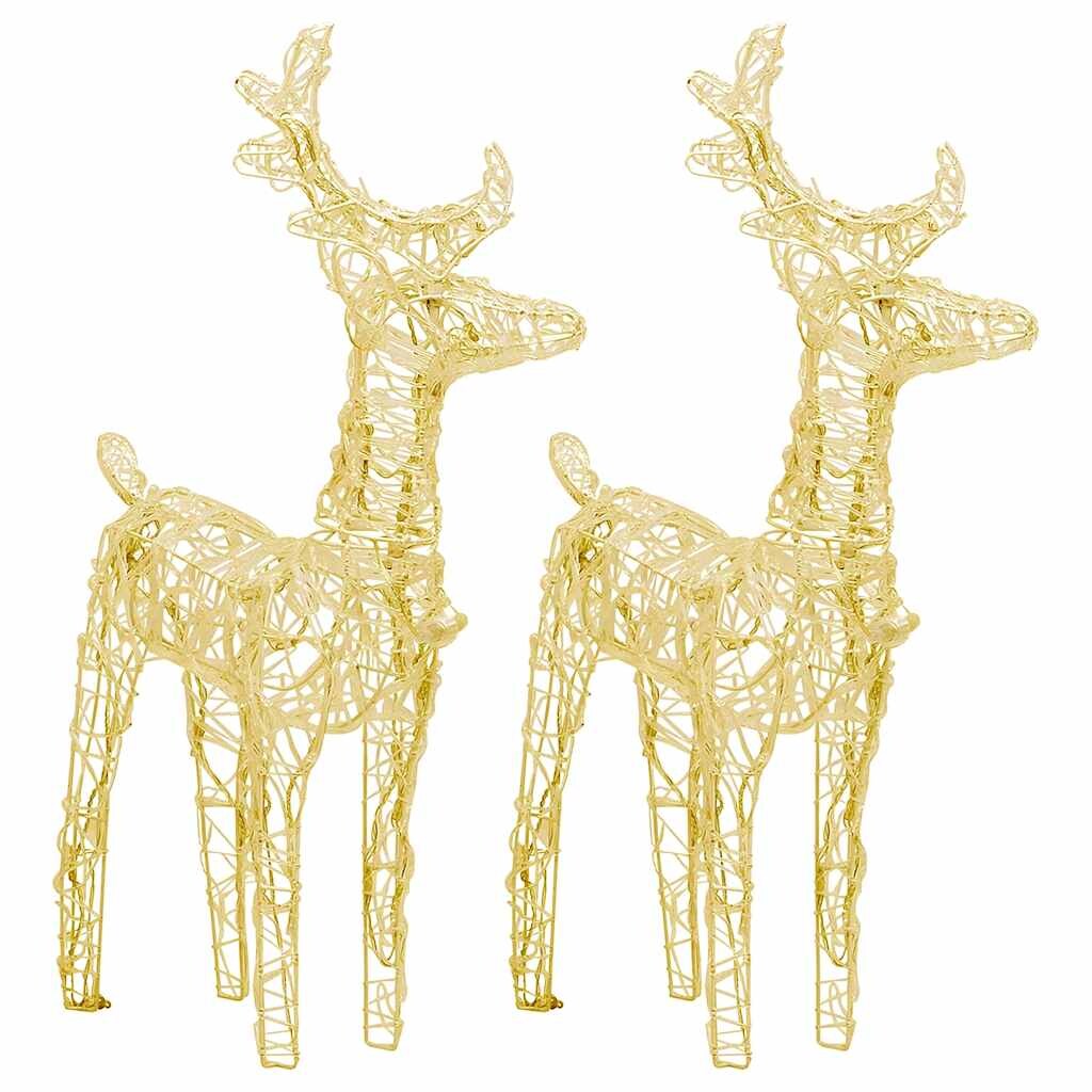 Renne Di Natale 2 Pz Bianco Caldo 80 Led In Acrilico
