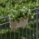 thumbnail of Pflanzkasten Cassetta UP 50 cm taupe