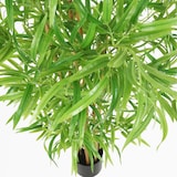 thumbnail of LIGNE DECO Bambou artificiel 150cm