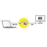 thumbnail of ROLINE GOLD 4K Mini DisplayPort/DVI Adapter, Actief, v1.2, Mini DP Male - DVI Female