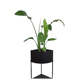 thumbnail of LOFT42 Flora hoek plantenbak - Metaal - Zwart