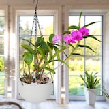 thumbnail of Relaxdays Blumenampel mit Wasserspeicher, 2er Set, Wasseranzeige, Flechtoptik, HxD: 54x18,5 cm, Blumentopf hängend, weiß