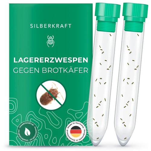 Lagererzwespen gegen Brotkäfer, Tabakkäfer, Kugelkäfer, Messingkäfer: 2 x Lagererzwepse