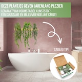 thumbnail of GreenDream® 3 Verschillende Hangplanten Kunstplanten in Pot - decoratief - Cadeautip - Groen