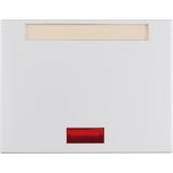 thumbnail of Berker Wippe Alu 14157103