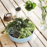 thumbnail of Luminarc Diwali Paradies Salatschüssel Opal Blau 22Cm