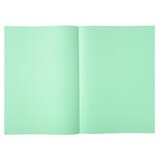 thumbnail of Exacompta - Réf. 850004E - Carton de 1250 sous-chemises SUPER 60 g/m2- dim 22 x 31 cm pour A4 - vert clair