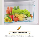 thumbnail of Retro Kühlschrank 88x45x42 Cremeweiß mit 60L Volumen, 22L Gefrierfach, 38L Kühlbereich, LED-Beleuchtung, 7 Temperatureinstellungen