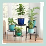 thumbnail of Relaxdays Blumenständer, 5-tlg. Set, rund, belastbar, H: 8–20, D: 17–30 cm, dekorative Pflanzenständer, Stahl, schwarz