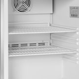 thumbnail of TEFCOLD Lagergefrierschrank UF200VS 200l SS 430