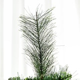 thumbnail of HOMCOM árbol de Navidad artificial de 180 cm árbol navideño con 618 ramas agujas de pino apertura automática y base plegable de acero Ø70x180 cm verde