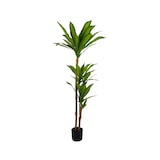 thumbnail of Kunstplant Dracena Multi 150 Cm Voor Binnen en Buiten