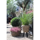 thumbnail of Vaso com pés de madeira – Ø 27 x 42 cm – Drypot em suporte de madeira – Floreira sustentável – Vaso decorativo – Interior – Castanho