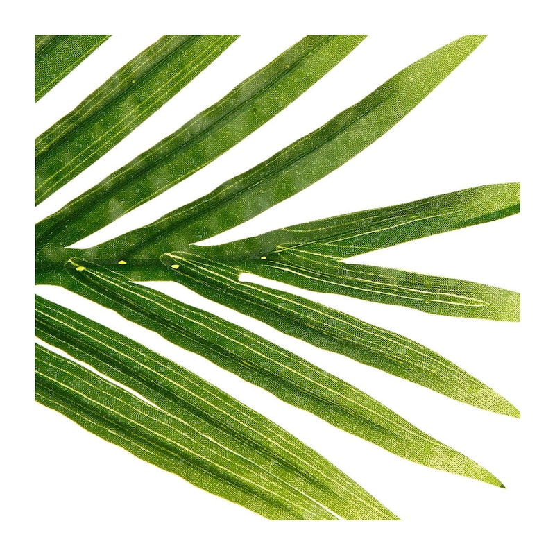 mobile_image