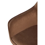thumbnail of Chaise de salle à manger Boise velours Marron