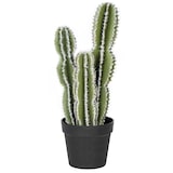 thumbnail of Cactus Castillo De Hadas 62 Cm