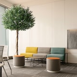 thumbnail of Bonerva | Olivo Luxe Nature 260 cm Altura | Planta artificial PREMIUM con tronco natural para hogares, negocios y hoteles | Gran realismo y estética