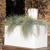 thumbnail of WellHome - Fioriera Rodr-i 60x20x20cm bronzo
