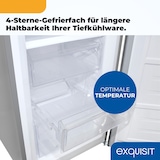 thumbnail of Exquisit Kühl-Gefrierkombination, Kühlschrank mit Gefrierfach, 247 Liter, No-Frost, 4-Sterne-Gefrierfach, KGC5250-85-NF-040D inoxlook