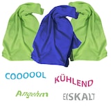 thumbnail of Das Sporthandtuch, Kühltuch in der praktischen Tasche - ultraleicht, kühlend, schnelltrocknend 3 Fitnesstücher im Set