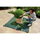 thumbnail of Maximex Multi-Plane Profi