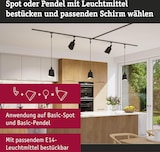 thumbnail of Paulmann URail Schirm DecoSystems Alvaro  144mm Schwarz matt#Gold matt 95604