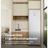 thumbnail of Congelador Vertical EVVO ICE 273 - 273L, Clase Energética E, Super Congelación y Bajo Consumo