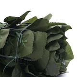 thumbnail of Balkonsichtschutz T811, Buchenhecke Sichtschutz Windschutz Verkleidung für Terrasse Zaun ~ 300x150cm dunkel