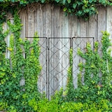 thumbnail of Relaxdays Rankgitter Metall, 3er Set, zum Stecken, Rankhilfe für Kletterpflanzen, 122 x 31 cm, Spalier Garten, schwarz