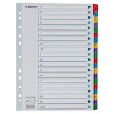 thumbnail of Esselte, Intercalaires A4 alphabétiques, 20 onglets, Multicolore, 100166