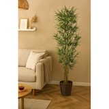 thumbnail of NATURN LIVING Kunstpflanze Bambus – ø 18 x 135 cm – Phyllostachys – Wartungsfreie Bambuspflanze – Grün