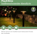 Lanterne de jardin avec protection contre les insectes.