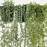 thumbnail of LIGNE DÉCO Plante succulente retombante artificielle 60cm lot de 3