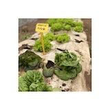 thumbnail of Tecido de cobertura vegetal Papel Kraft 0,9 x 20m Auto-degradável para jardim Controlo de ervas daninhas 100% celulose