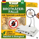 thumbnail of Brotkäfer Falle mit Spezial-Lockstoff: 15