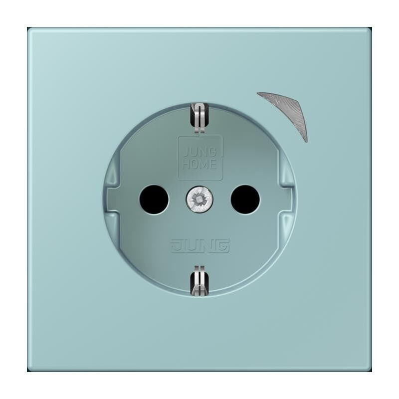Jung SCHUKO Steckdose BT LC 1521 SE 214 BTLC1521SE214