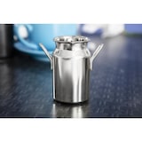 thumbnail of Olympia mini RVS melkbus medium 12cl