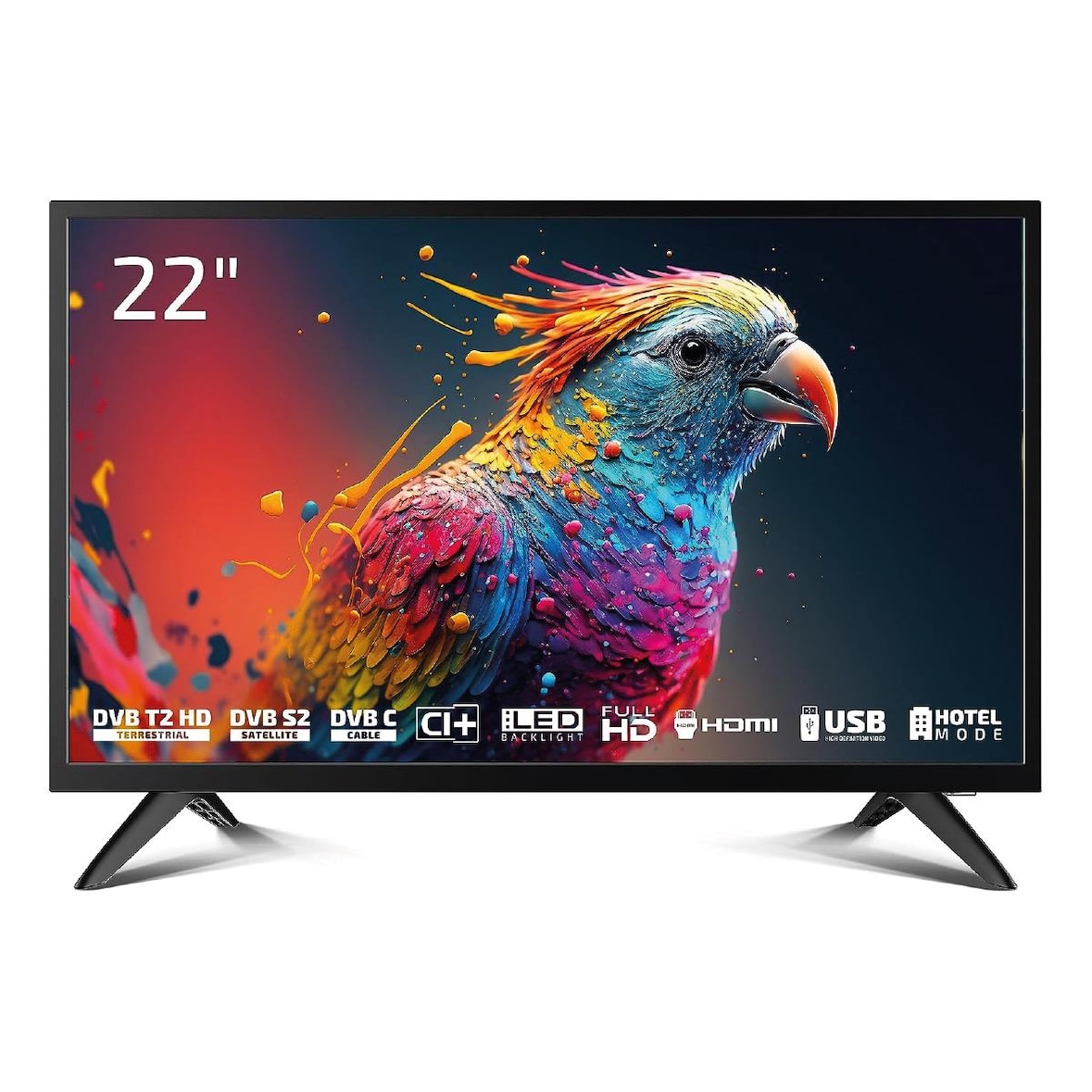 DYON Enter 22 Pro X2 LED TV 22 Zoll (55cm), 1.920 x 1.080 Full HD, Hotelmdous, Triple Tuner, CI+, USB Mediaplayer