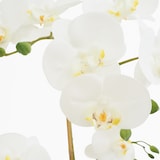 thumbnail of LIGNE DECO Orchidée artificielle toucher naturel 45cm