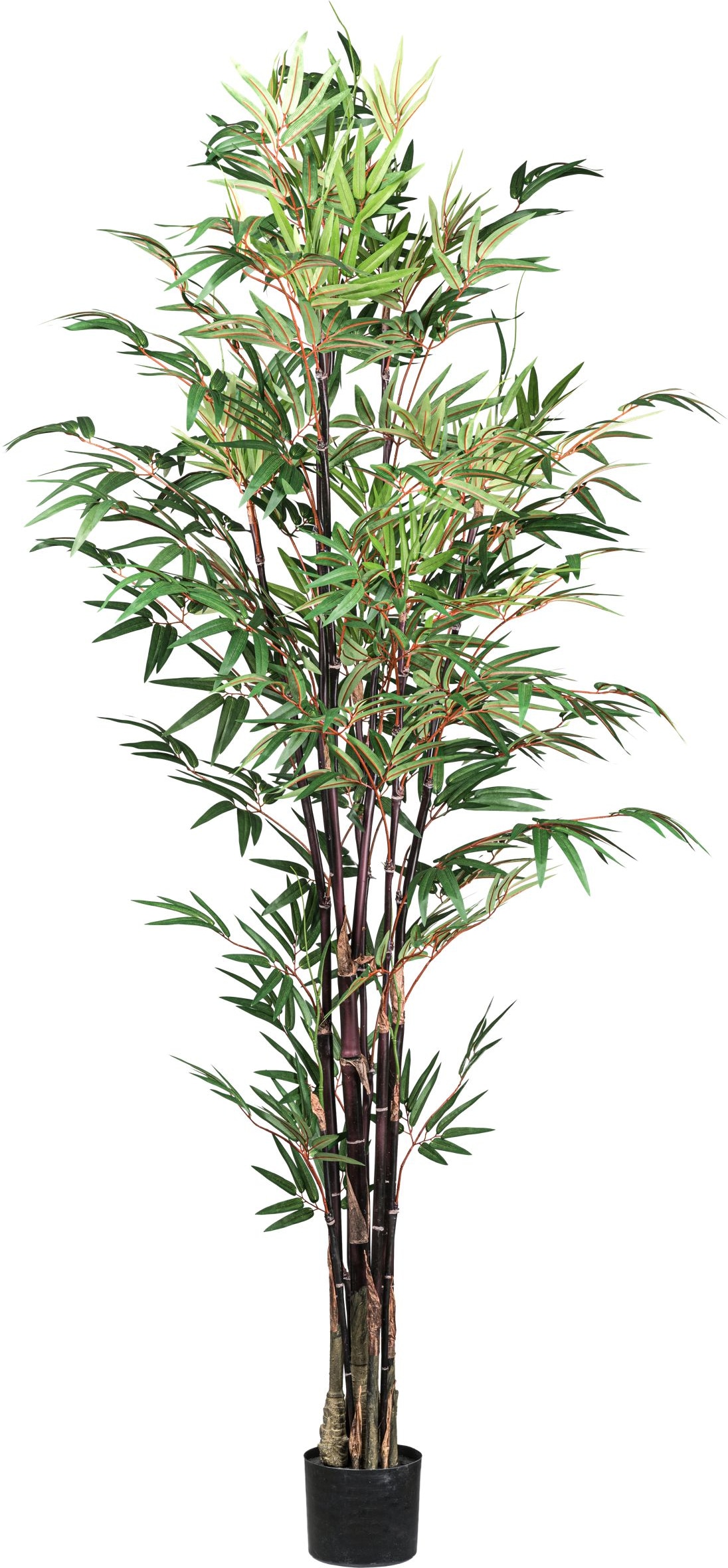 CREATIV green künstliche Pflanze Bambus chinese wonder,ca 190cm