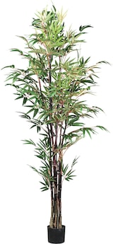 thumbnail of CREATIV green künstliche Pflanze Bambus chinese wonder,ca 190cm
