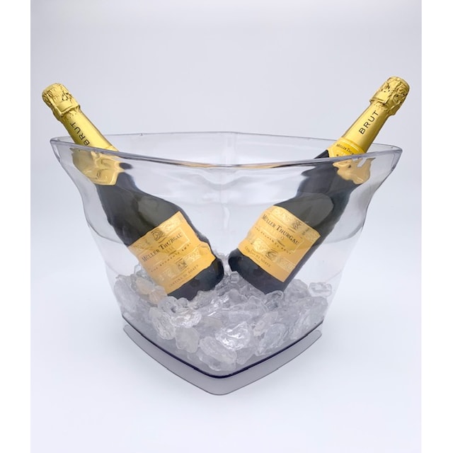 Vino espumoso San Trasparente Cm 33x33x26h -10°CA +70°C Menos edad