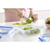 thumbnail of Boite Masterseal fresh 0,85 cm -  850.00 cl Argent / Métallique Carré Acier Inoxydable (inox  Tefal 17.00x17.00 cm