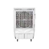 thumbnail of PURLINE Climatiseur évaporatif 22 000 m³/h RAFY 350