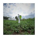 thumbnail of Pulvérisateur de Jardin 16L à Batterie VITO - Pulvérisateur Electrique 6 bars - Buses, Chargeur et Lance Télescopique Inclus