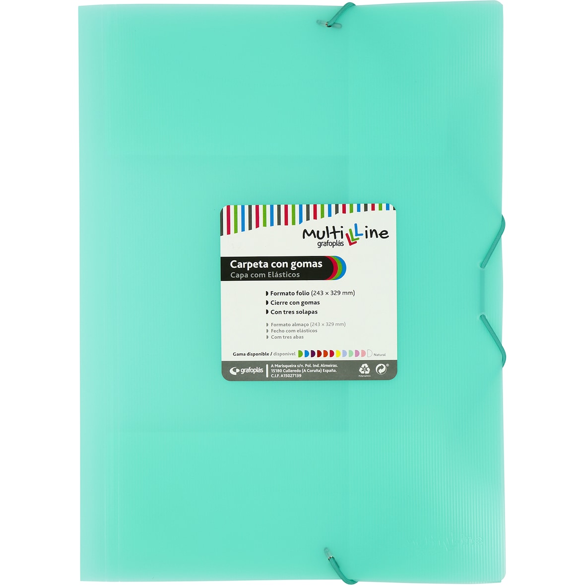 Conjunto de 6 pastas com elásticos em polipropileno, cor menta