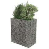 thumbnail of vidaXL Gabionen-Hochbeet Verzinkter Stahl 90×50×100 cm