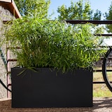 thumbnail of WellHome - "Rodr-i Collection" Pflanzkasten 100x45cm Anthrazit